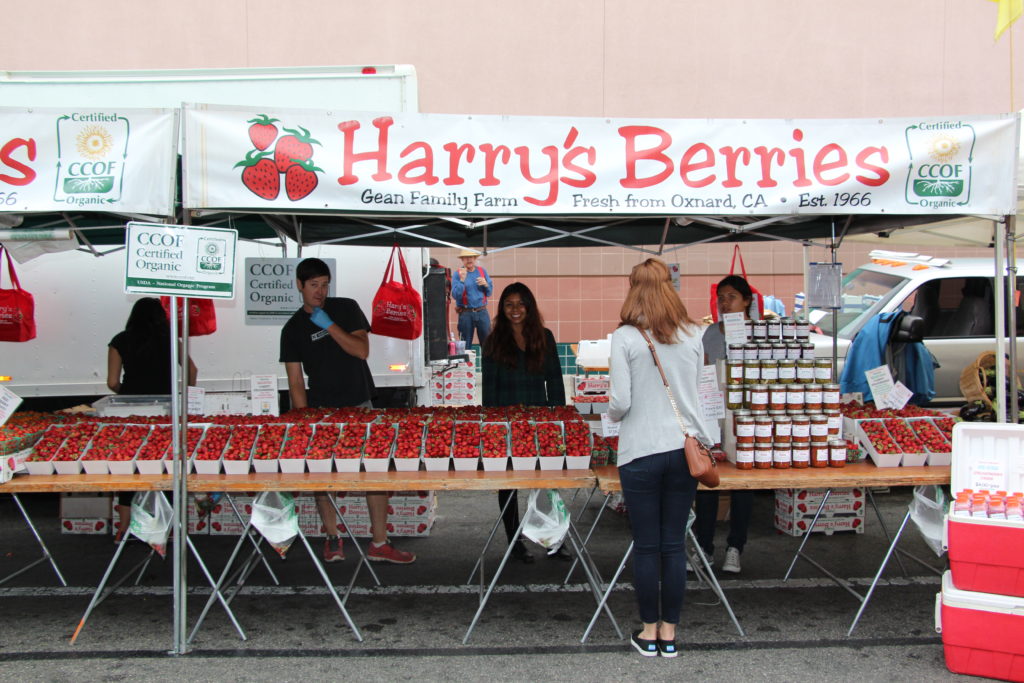 santa monicas farmers market - harry's berries