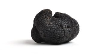 Australian Black Truffle