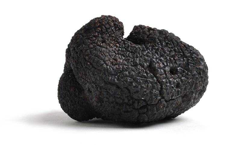How to Pair Truffles with Food and Wine