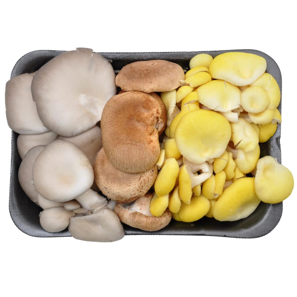 Variety Mushrooms