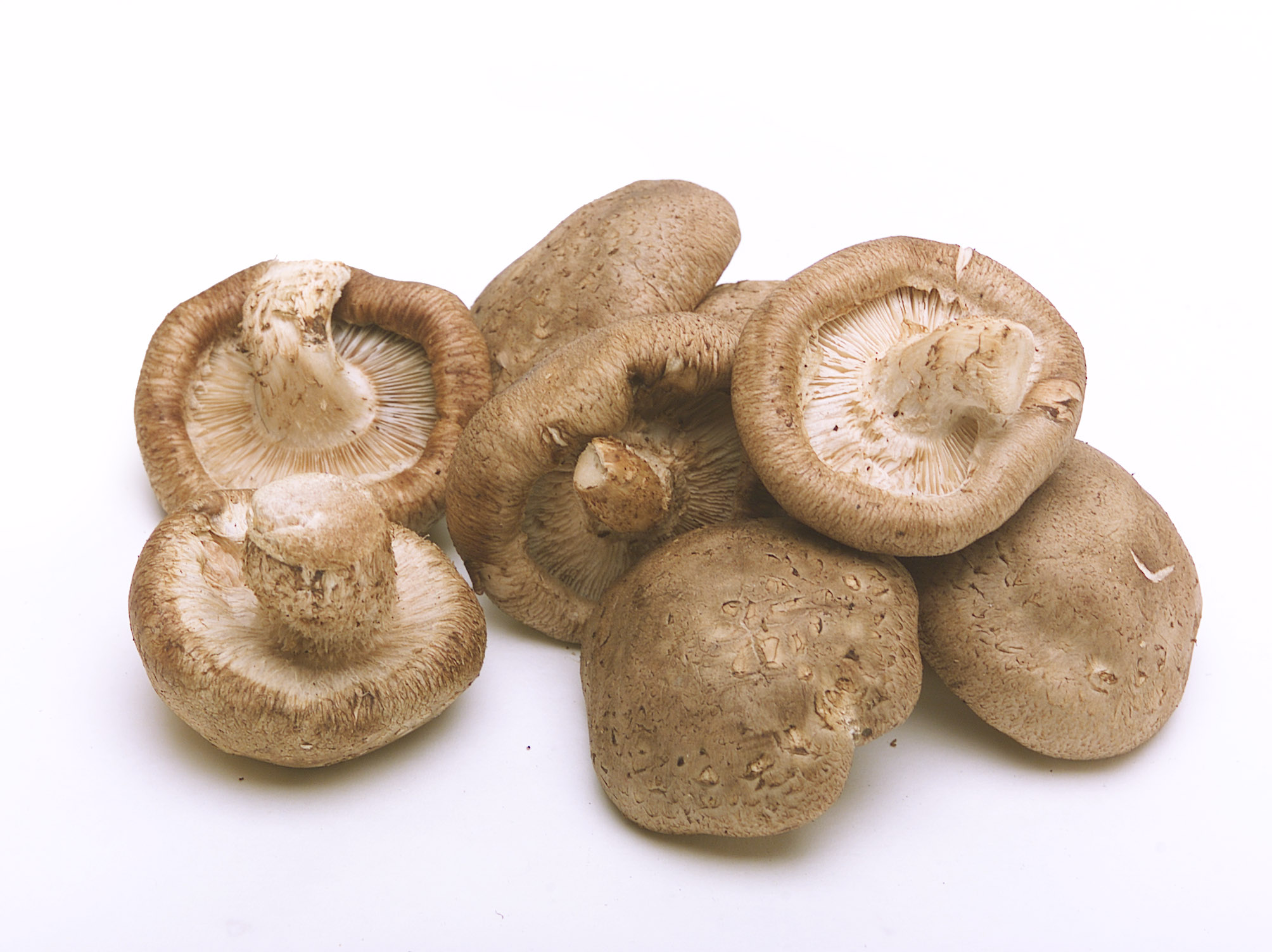 Shiitake Fresh Mushrooms
