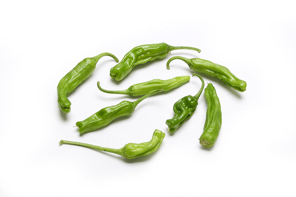 Know Your Chile Peppers: The Ultimate Guide l shishito peppers on white