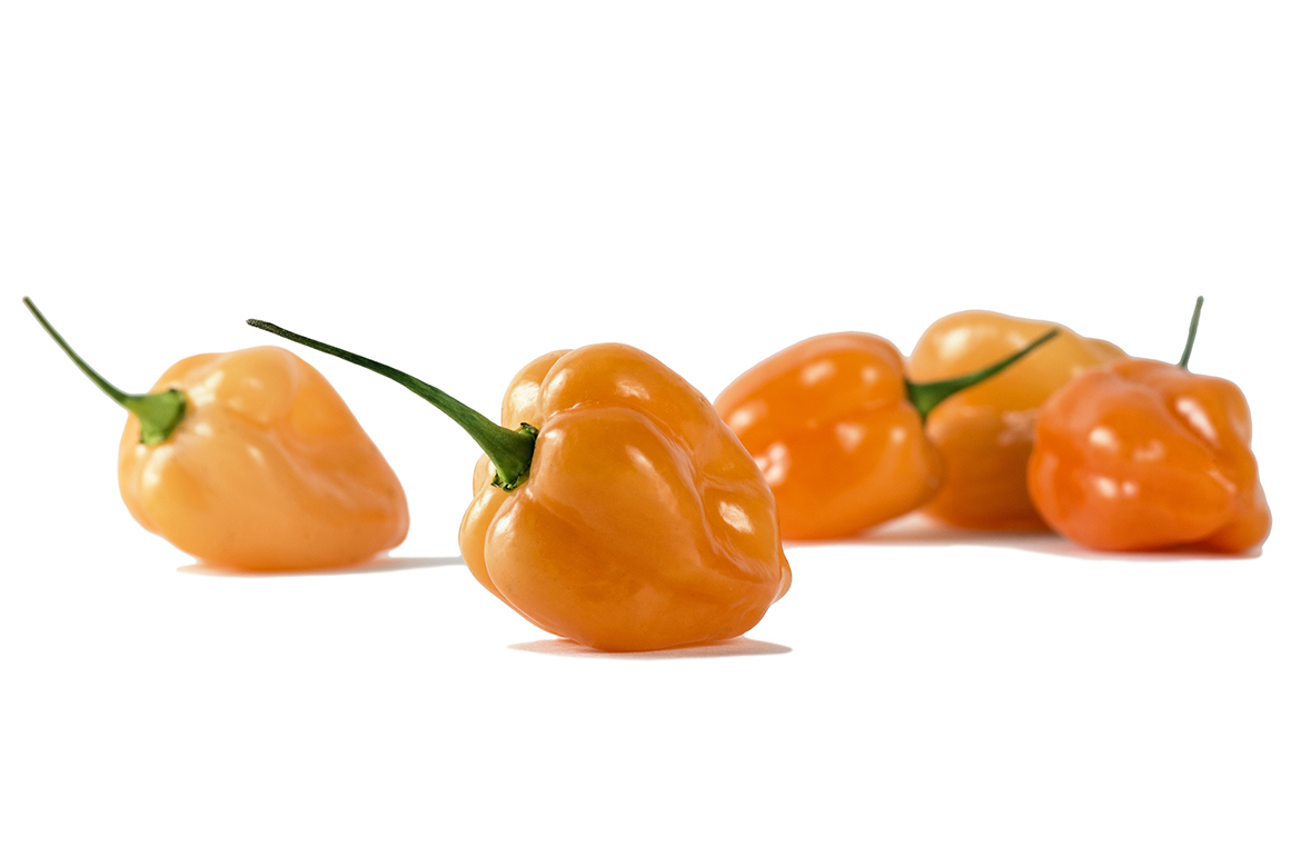 Know Your Chile Peppers: The Ultimate Guide l habanero chile peppers on white