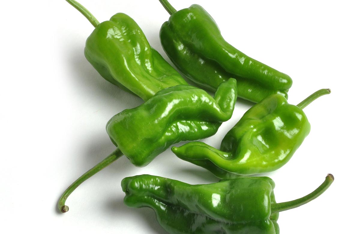 Know Your Chile Peppers: The Ultimate Guide l padron chile peppers on white
