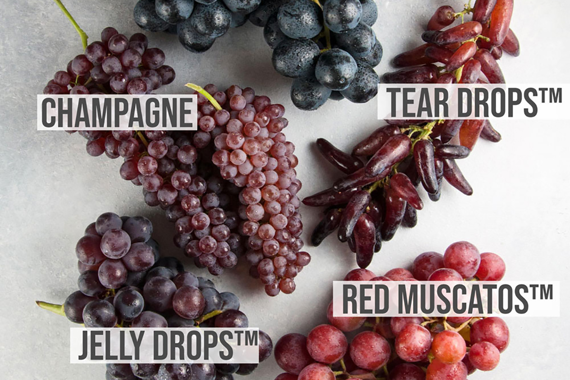 A Visual Guide to Grapes l visual guide to grape varieties