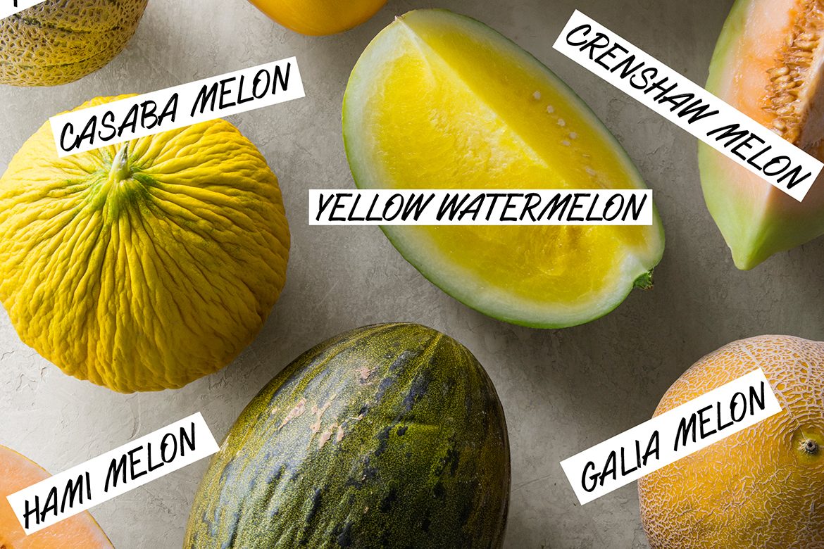 Visual Guide to Melon | melon varieties, canteloupe, yellow watermelon