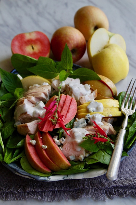 20+ Amazing Apple Recipes for Fall l easy roast chicken apple salad