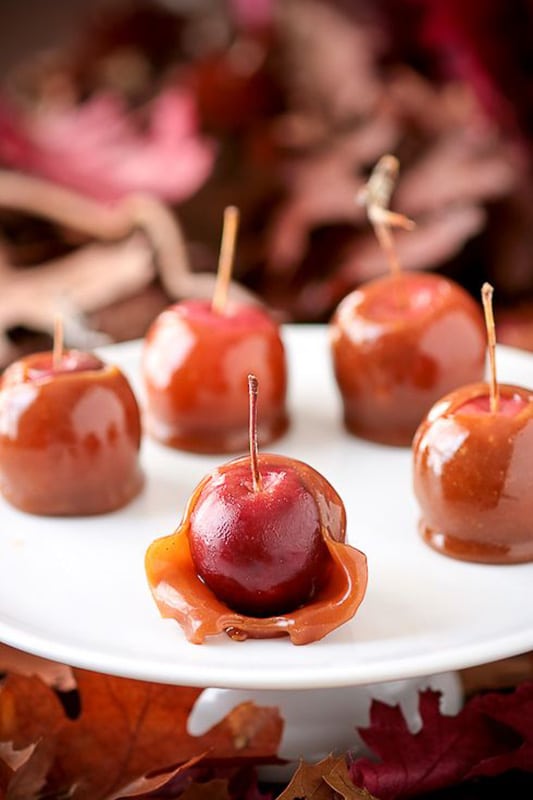 20+ Amazing Apple Recipes for Fall l trick or treat taffy crabapples