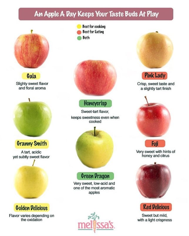 20+ Amazing Apple Recipes for Fall l apple infographic
