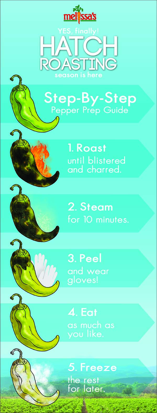 How to roast hatch chiles