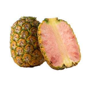 Pink Pineapple 1